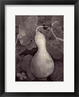 Gourd V Fine Art Print