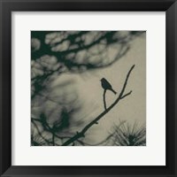 Caligraphy Bird I Fine Art Print
