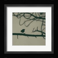 Caligraphy Bird II Fine Art Print