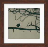 Caligraphy Bird II Fine Art Print