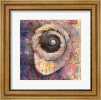 Seashell-Snail Fine Art Print
