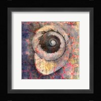 Seashell-Snail Fine Art Print