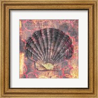 Seashell-Scallop Fine Art Print