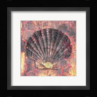 Seashell-Scallop Fine Art Print