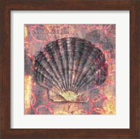 Seashell-Scallop Fine Art Print