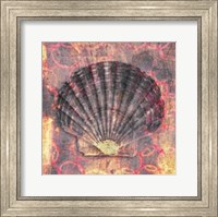 Seashell-Scallop Fine Art Print