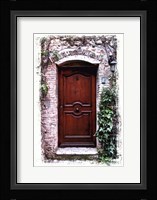 Doors of Europe II Framed Print
