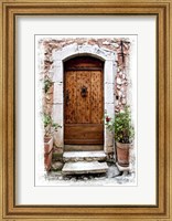 Doors of Europe V Fine Art Print
