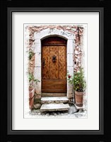 Doors of Europe V Framed Print