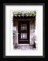 Doors of Europe XVI Framed Print