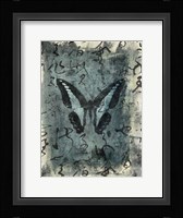 Butterfly Calligraphy IV Fine Art Print