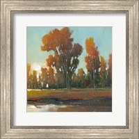 Late Afternoon Fall Fine Art Print