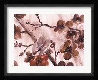 Blossom Poetry II Framed Print