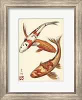 Koi Fish I Fine Art Print