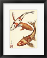 Koi Fish I Fine Art Print