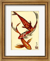 Koi Fish II Fine Art Print