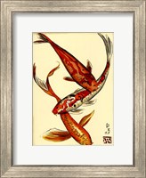 Koi Fish II Fine Art Print