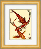 Koi Fish II Fine Art Print