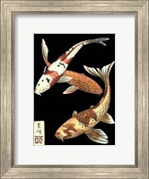 Koi Fish on Black I Fine Art Print