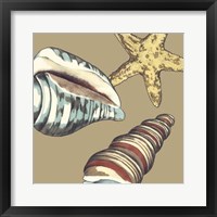 Shell Trio on Khaki I Fine Art Print