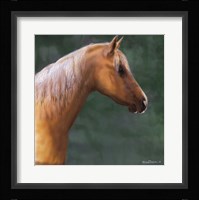 Palomino Fine Art Print