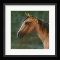 Mustang Fine Art Print