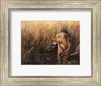 Golden Grass Fine Art Print