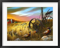 Pheasants I Framed Print