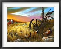 Pheasants I Framed Print