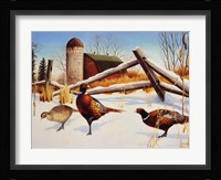 Pheasants II Fine Art Print