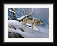 Lone Wolf Fine Art Print