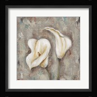 Sunlight II Framed Print