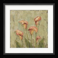 Sunlight III Framed Print