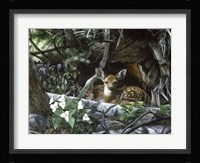 Undercover II Fine Art Print