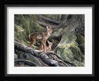 Awakening Fine Art Print