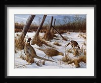 Daybreak Fine Art Print