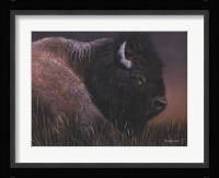 American Icon- Bison Fine Art Print