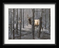 Consequence of Fire Fine Art Print