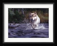 The Crossing Fine Art Print