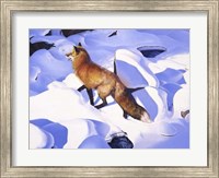 Fire & Ice Fine Art Print