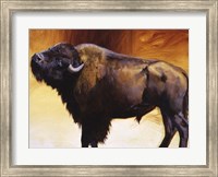 Big Itch Fine Art Print