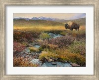 Bison & Creek Fine Art Print