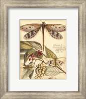 Whimsical Dragonflies I Fine Art Print