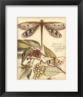 Whimsical Dragonflies I Fine Art Print