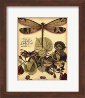 Whimsical Dragonflies II Fine Art Print