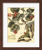Whimsical Butterflies I Fine Art Print
