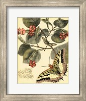 Whimsical Butterflies I Fine Art Print