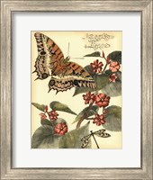 Whimsical Butterflies II Fine Art Print