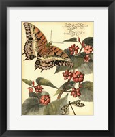 Whimsical Butterflies II Framed Print