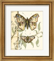 Tandem Butterflies I Fine Art Print